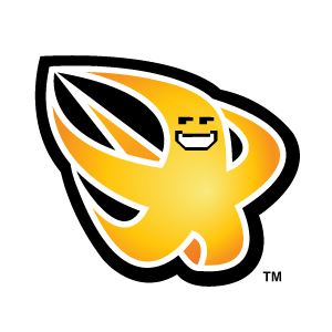PlummetingStar